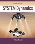 Palm |  System Dynamics | Buch |  Sack Fachmedien