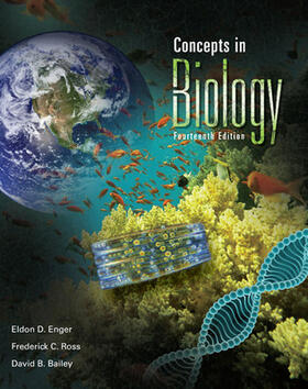 Bailey / Enger / Ross | Concepts in Biology | Buch | 978-0-07-340346-5 | sack.de