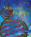 Weaver |  Molecular Biology | Buch |  Sack Fachmedien