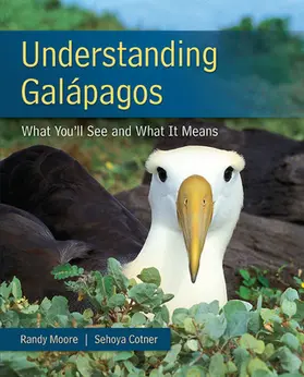 Moore / Cotner |  Understanding Galapagos | Buch |  Sack Fachmedien
