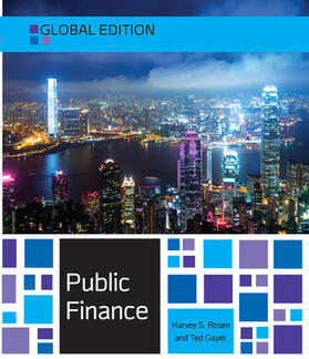 Rosen / Gayer |  Public Finance | Buch |  Sack Fachmedien