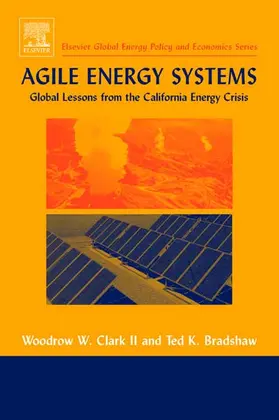 Clark / Bradshaw |  Agile Energy Systems: Global Lessons from the California Energy Crisis | Buch |  Sack Fachmedien