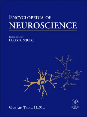  Encyclopedia of Neuroscience | Buch |  Sack Fachmedien