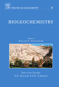Schlesinger |  Biogeochemistry | Buch |  Sack Fachmedien