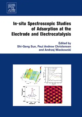 Sun / Christensen / Wieckowski | In-situ Spectroscopic Studies of Adsorption at the Electrode and Electrocatalysis | E-Book | www.sack.de