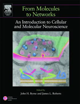 Byrne / Heidelberger / Waxham | From Molecules to Networks | E-Book | www.sack.de