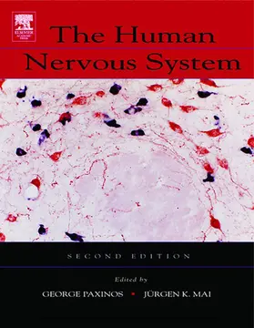 Paxinos AO (BA / Paxinos / K Mai |  The Human Nervous System | eBook | Sack Fachmedien