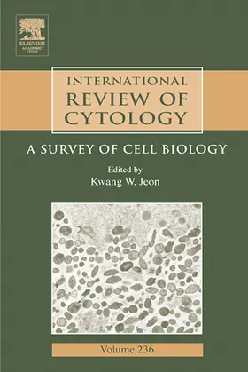 Jeon |  International Review of Cytology | eBook | Sack Fachmedien