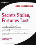 Burgess / SYNGRESS / Power |  Secrets Stolen, Fortunes Lost | eBook | Sack Fachmedien