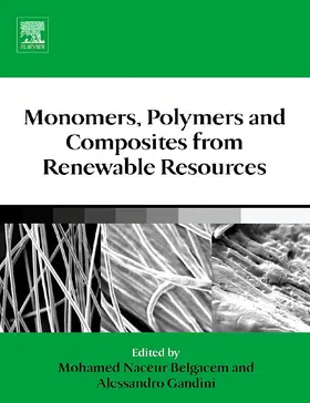Belgacem / Gandini |  Monomers, Polymers and Composites from Renewable Resources | eBook | Sack Fachmedien