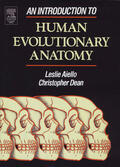 Aiello / Dean |  An Introduction to Human Evolutionary Anatomy | eBook | Sack Fachmedien