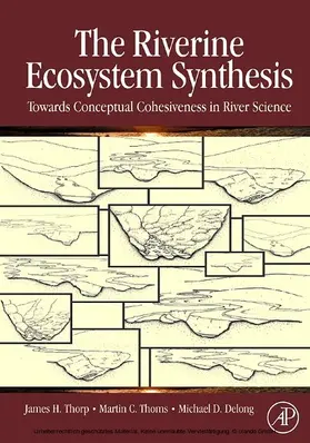 Thorp / Thoms / Delong | The Riverine Ecosystem Synthesis | E-Book | www.sack.de
