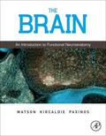 Watson / Kirkcaldie / Paxinos |  The Brain | eBook | Sack Fachmedien
