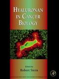 Stern |  Hyaluronan in Cancer Biology | eBook | Sack Fachmedien