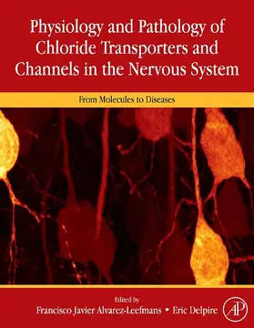 Delpire |  Physiology and Pathology of Chloride Transporters and Channels in the Nervous System | eBook | Sack Fachmedien