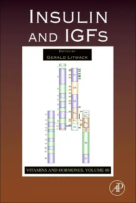 Litwack |  Insulin and IGFs | eBook | Sack Fachmedien