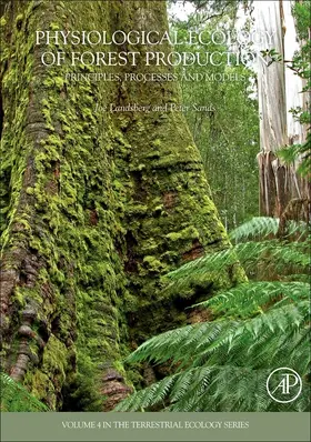 Landsberg / Sands |  Physiological Ecology of Forest Production | eBook | Sack Fachmedien