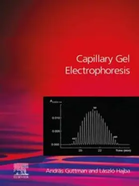 Guttman / Hajba | Capillary Gel Electrophoresis | E-Book | www.sack.de