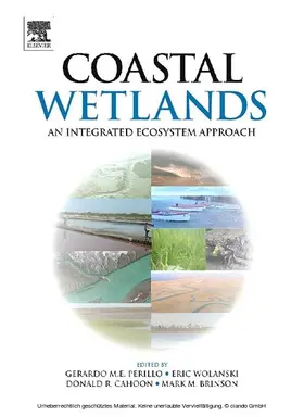 Perillo / Wolanski / Cahoon |  Coastal Wetlands | eBook | Sack Fachmedien