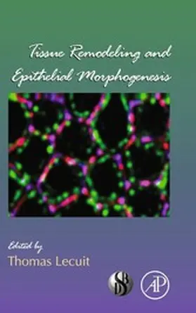 Lecuit |  Tissue Remodeling and Epithelial Morphogenesis | eBook | Sack Fachmedien