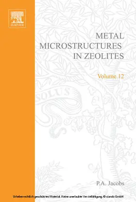 Jíru / Schulz-Ekloff / Jacobs |  Metal Microstructures in Zeolites | eBook | Sack Fachmedien