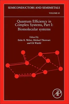  Quantum Efficiency in Complex Systems, Part I | eBook | Sack Fachmedien