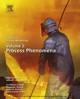 Seetharaman |  Treatise on Process Metallurgy, Volume 2: Process Phenomena | eBook | Sack Fachmedien