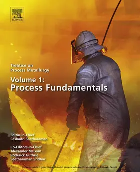 Seetharaman |  Treatise on Process Metallurgy, Volume 1: Process Fundamentals | eBook | Sack Fachmedien