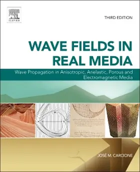 Carcione |  Wave Fields in Real Media | Buch |  Sack Fachmedien