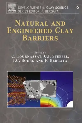 Tournassat / Bergaya |  Natural and Engineered Clay Barriers | eBook | Sack Fachmedien