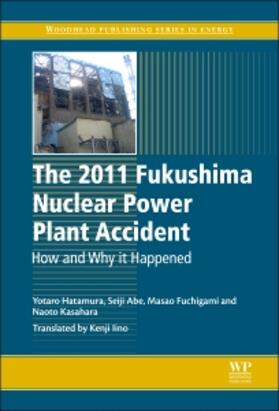 Hatamura / Abe / Fuchigami | The 2011 Fukushima Nuclear Power Plant Accident | Buch | sack.de