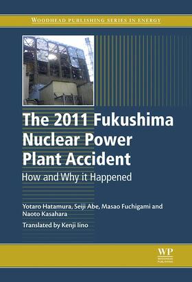 Hatamura / Abe / Fuchigami | The 2011 Fukushima Nuclear Power Plant Accident | E-Book | sack.de