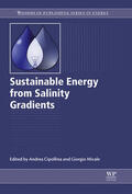 Cipollina / Micale |  Sustainable Energy from Salinity Gradients | eBook | Sack Fachmedien
