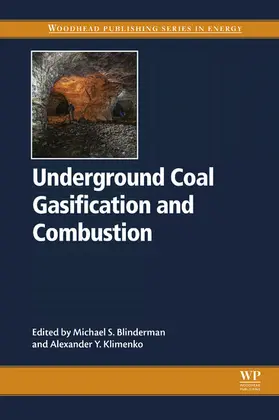 Blinderman / Klimenko | Underground Coal Gasification and Combustion | E-Book | www.sack.de