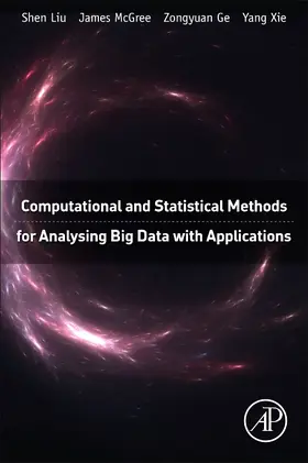 Liu / Mcgree / Ge |  Computational and Statistical Methods for Analysing Big Data with Applications | eBook | Sack Fachmedien