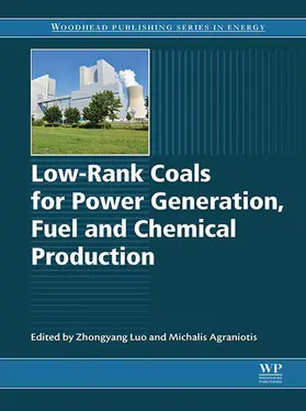 Luo / Agraniotis | Low-rank Coals for Power Generation, Fuel and Chemical Production | E-Book | www.sack.de