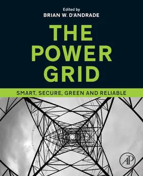 D'Andrade | The Power Grid | E-Book | www.sack.de
