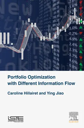Hillairet / Jiao | Portfolio Optimization with Different Information Flow | E-Book | sack.de