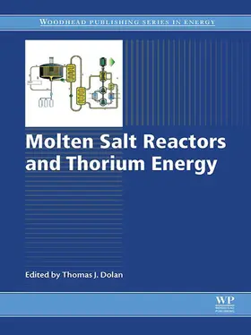 Dolan | Molten Salt Reactors and Thorium Energy | E-Book | sack.de