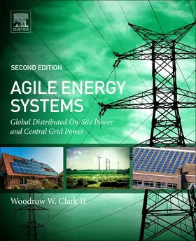 Clark II | Agile Energy Systems | Buch | 978-0-08-101760-9 | www.sack.de