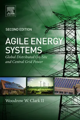 Clark II | Agile Energy Systems | E-Book | www.sack.de