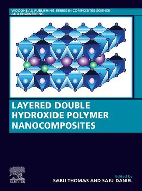 Thomas / Daniel | Layered Double Hydroxide Polymer Nanocomposites | E-Book | sack.de