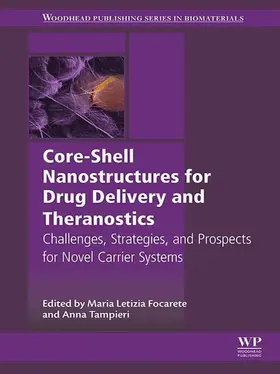 Focarete / Tampieri |  Core-Shell Nanostructures for Drug Delivery and Theranostics | eBook | Sack Fachmedien
