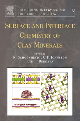 Schoonheydt / Johnston / Bergaya |  Surface and Interface Chemistry of Clay Minerals | eBook | Sack Fachmedien