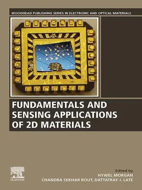 Rout / Late / Morgan | Fundamentals and Sensing Applications of 2D Materials | E-Book | sack.de