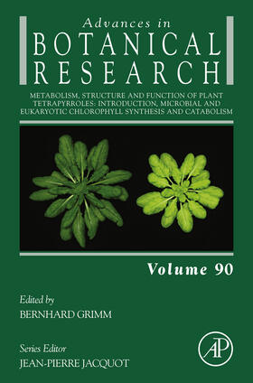 Grimm | Metabolism, Structure and Function of Plant Tetrapyrroles: Introduction, Microbial and Eukaryotic Chlorophyll Synthesis and Catabolism | E-Book | sack.de