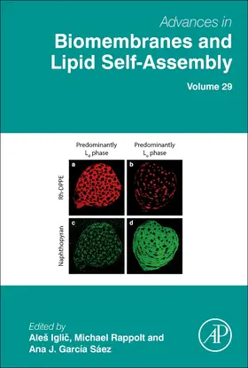 Iglic? / Garcia-Saez / Rappolt |  Advances in Biomembranes and Lipid Self-Assembly | Buch |  Sack Fachmedien