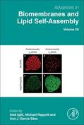 Iglic? / Garcia-Saez / Losada Perez |  Advances in Biomembranes and Lipid Self-Assembly | Buch |  Sack Fachmedien