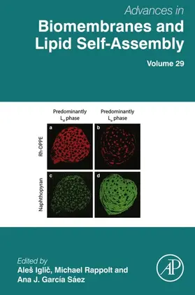 Iglic¿ / Igli?? / Losada Perez |  Advances in Biomembranes and Lipid Self-Assembly | eBook | Sack Fachmedien