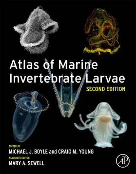 Young / Boyle / Sewell |  Atlas of Marine Invertebrate Larvae | Buch |  Sack Fachmedien